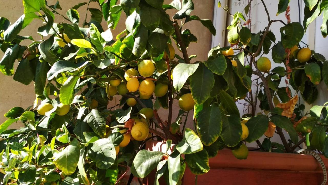 La Casa Dei Fiori Leilighet Firenze Eksteriør bilde